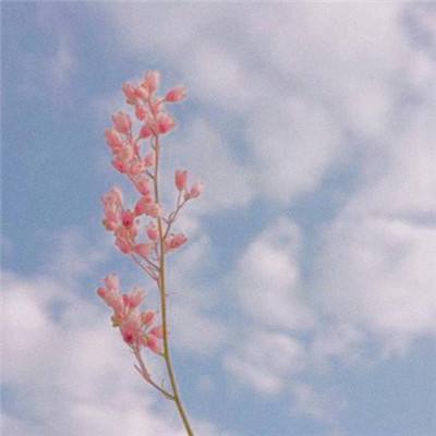 BOB体育综合官方APP下载8