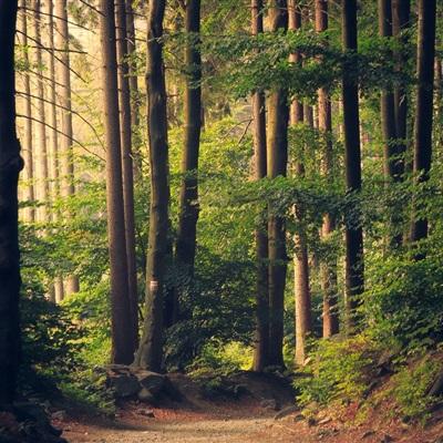 金沙集团186cc成色