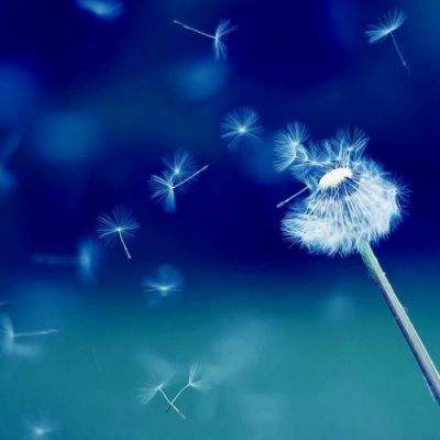 永盈会手机版手机app下载