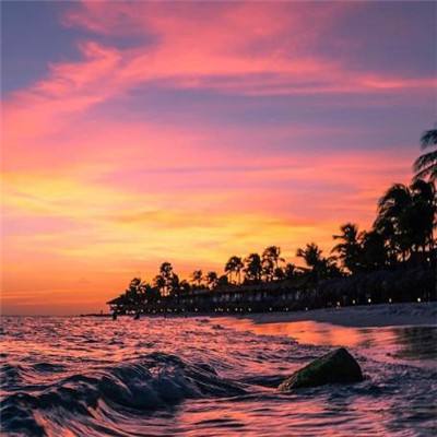 leyu乐鱼·体育app下载