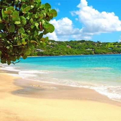 b体育必一官方下载入口截图