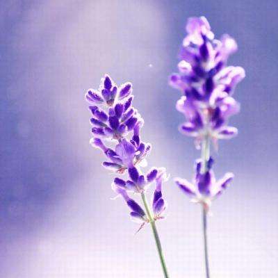 江南全站app下载官方网站